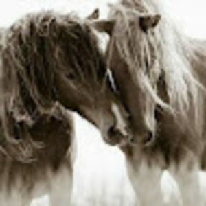 Meet your Posher, Aimee